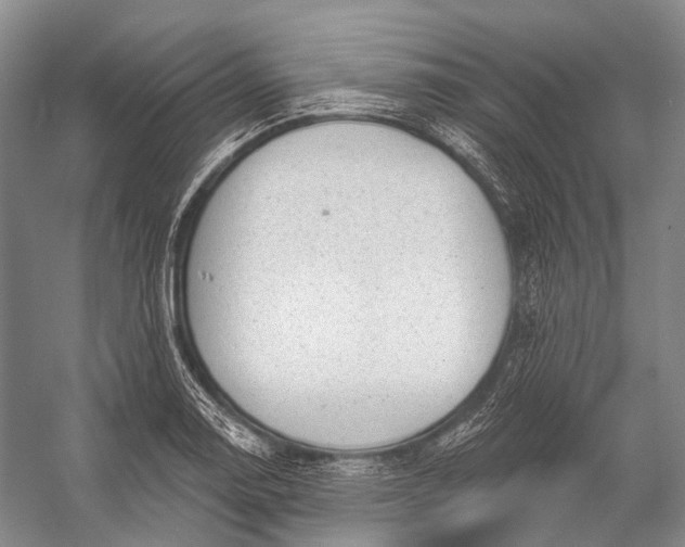 X0000056331130200509161702