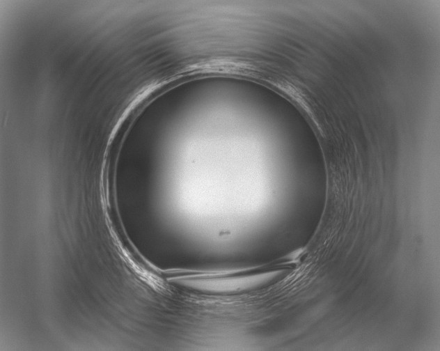 X0000056331131200509161702