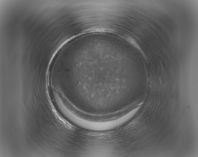 X0000056331132200509161702