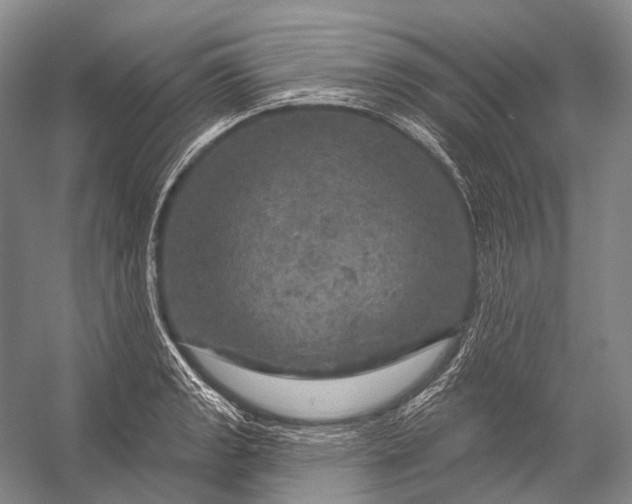 X0000056331133200509161702