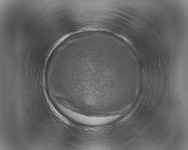 X0000056331134200509161702