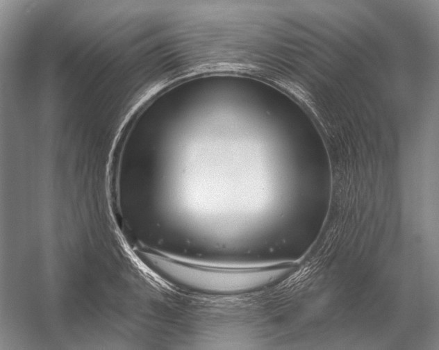 X0000056331135200509161702