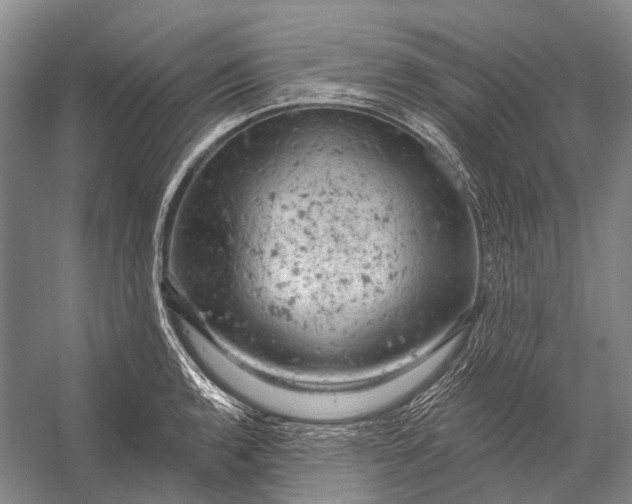 X0000056331136200509161702