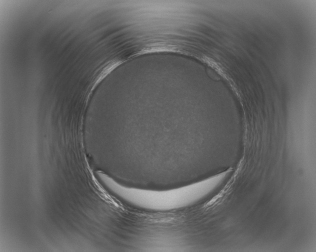 X0000056331137200509161702