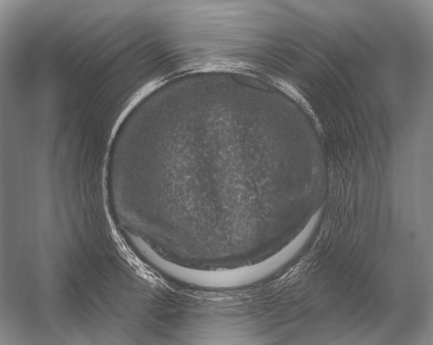 X0000056331138200509161702