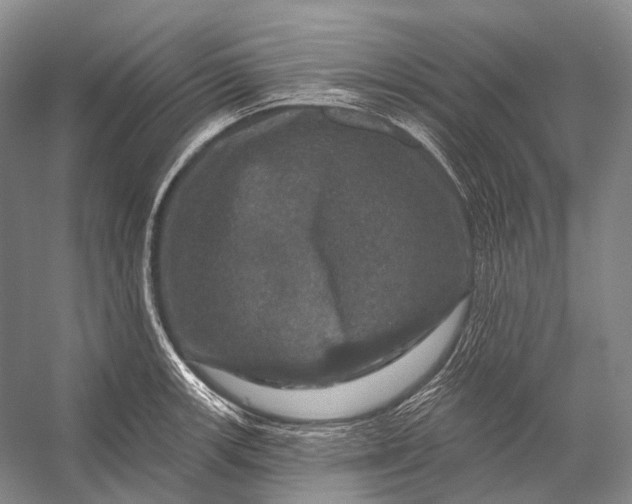 X0000056331139200509161702