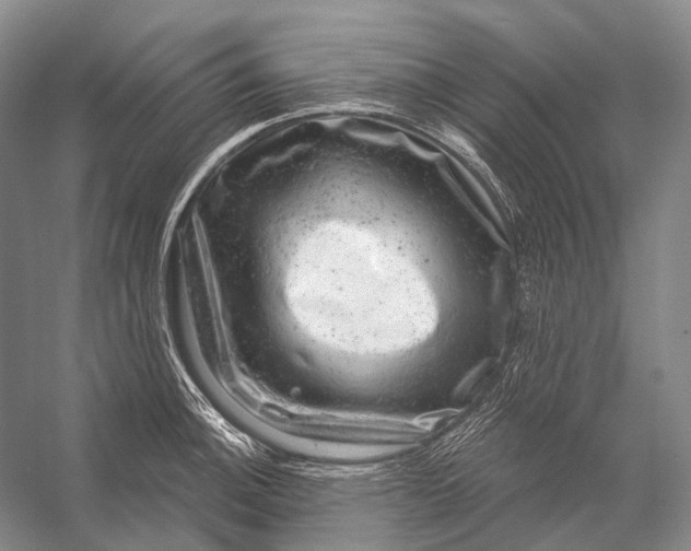 X0000056331140200509161702