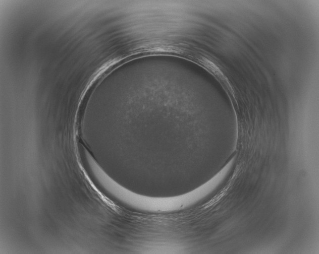 X0000056331141200509161702