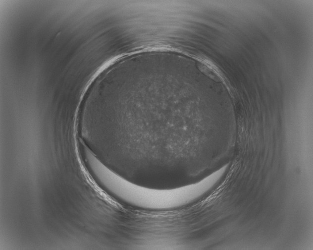 X0000056331142200509161702