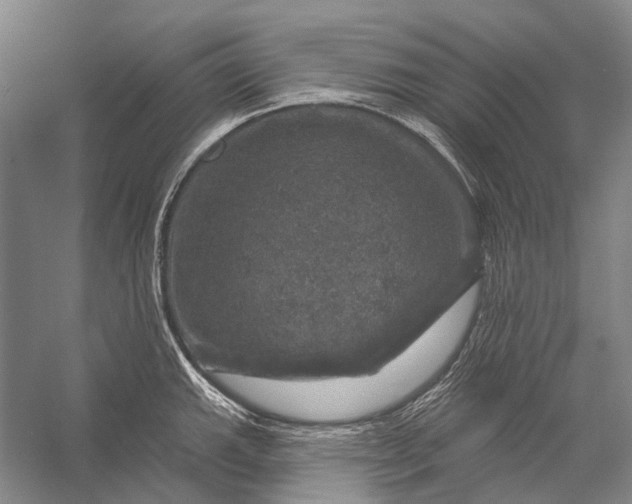 X0000056331143200509161702