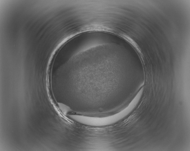 X0000056331144200509161702