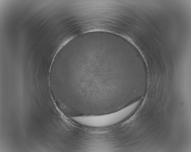 X0000056331145200509161702