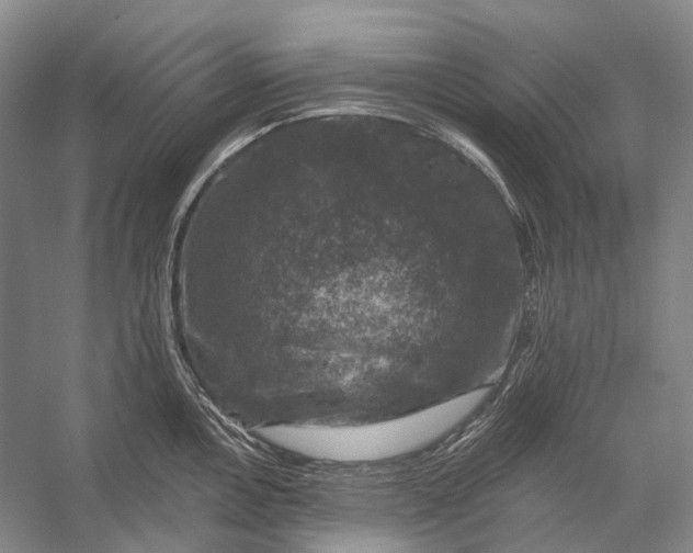 X0000056331146200509161703