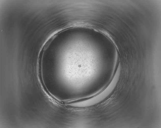 X0000056331147200509161703