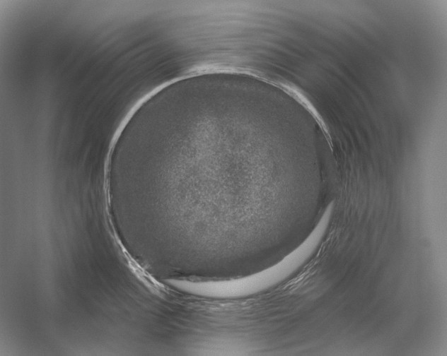 X0000056331148200509161703