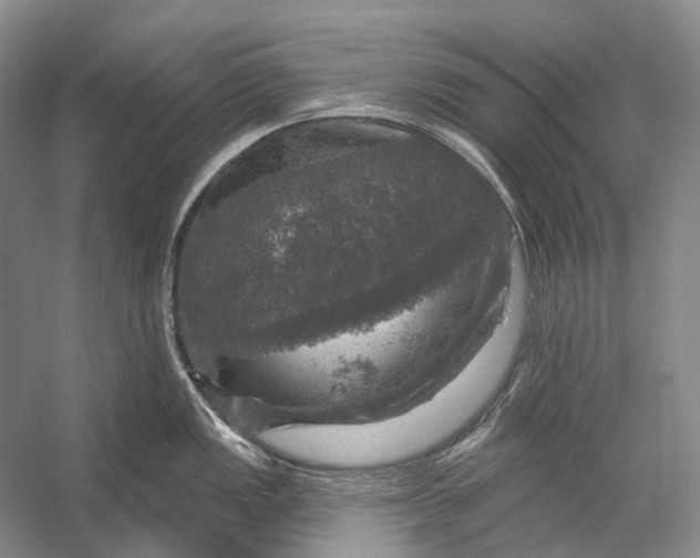 X0000056331149200509161703