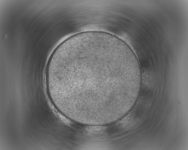 X0000056331150200509161703