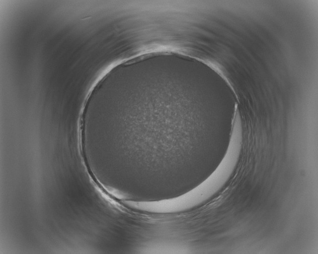 X0000056331151200509161703