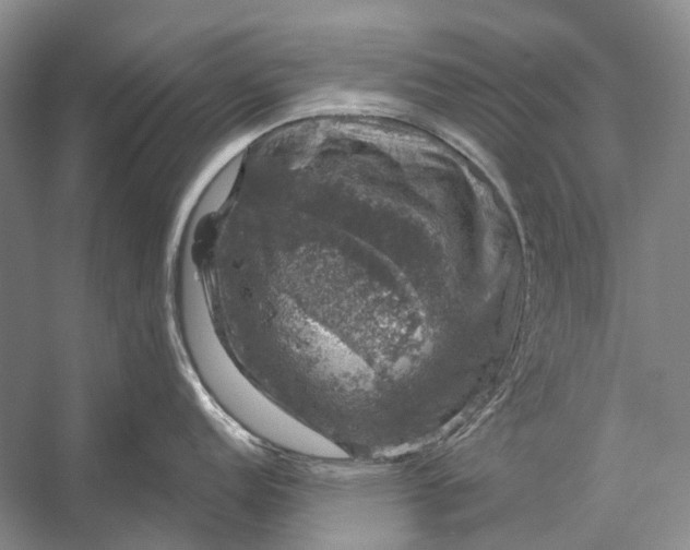 X0000056331152200509161703