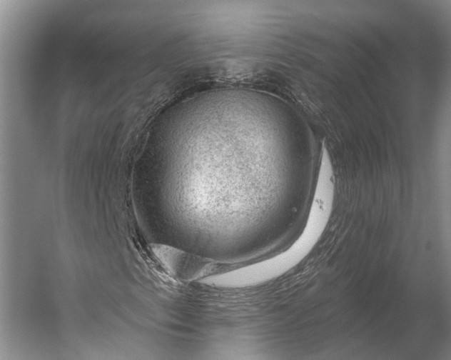 X0000056331153200509161702