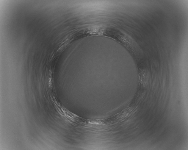 X0000056331154200509161702