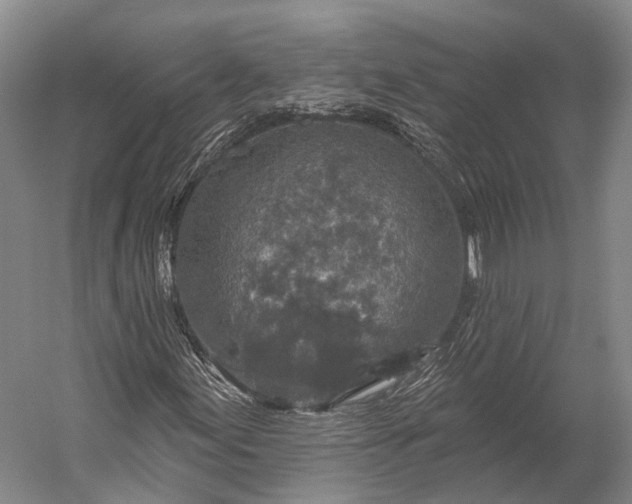 X0000056331155200509161702