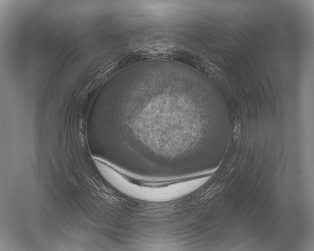 X0000056331156200509161702