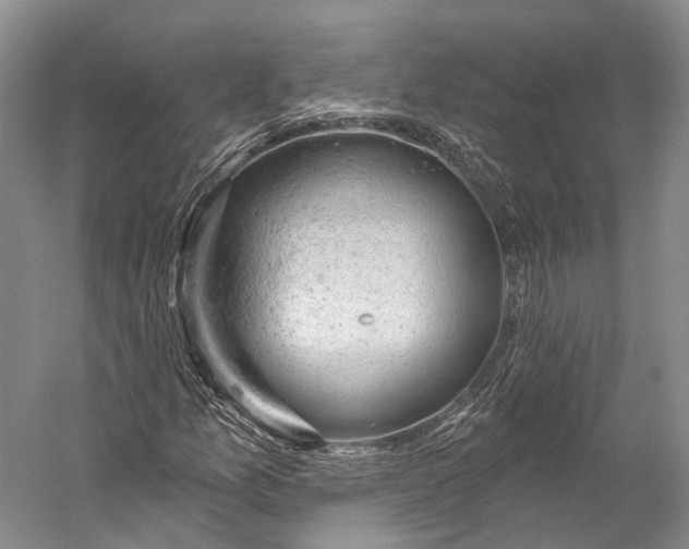 X0000056331157200509161702