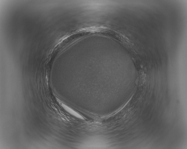 X0000056331158200509161702