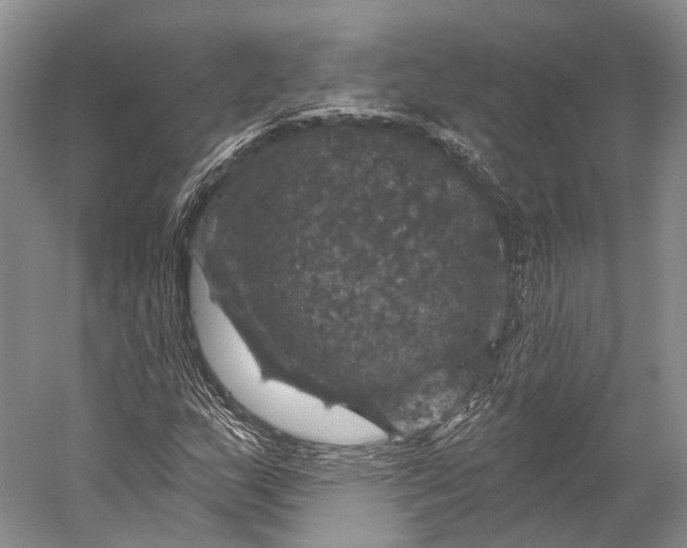 X0000056331159200509161702