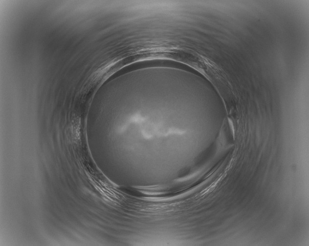 X0000056331161200509161702