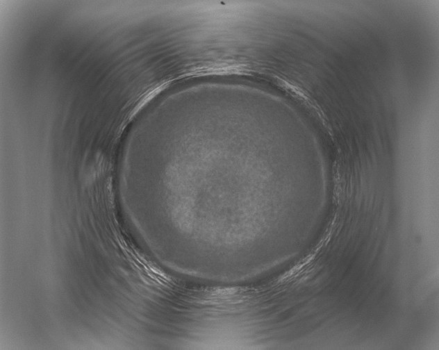 X0000056331162200509161702