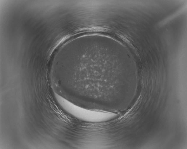 X0000056331163200509161702