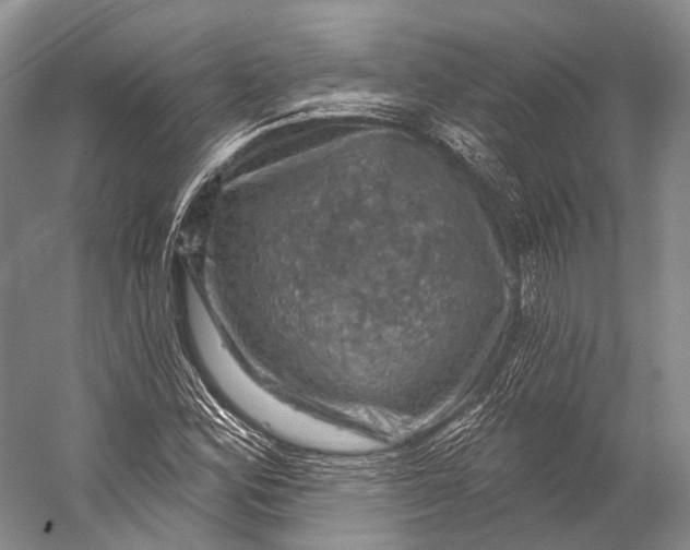 X0000056331164200509161702