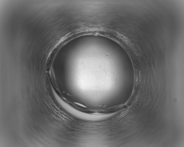 X0000056331165200509161702