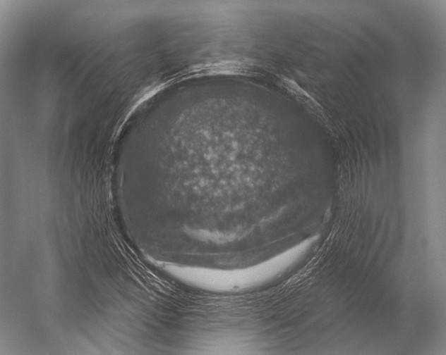 X0000056331166200509161702