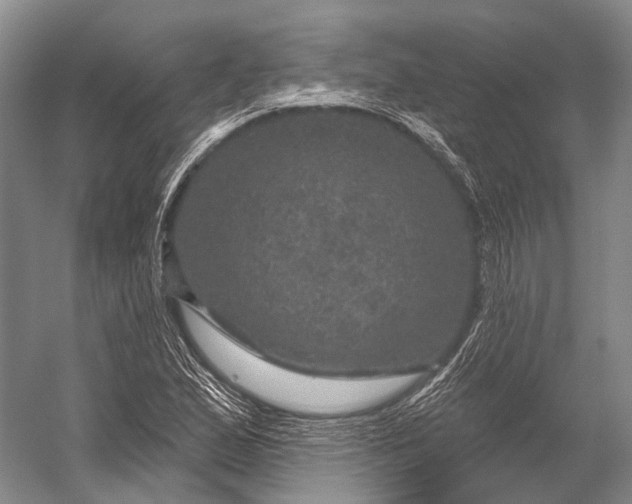 X0000056331167200509161702