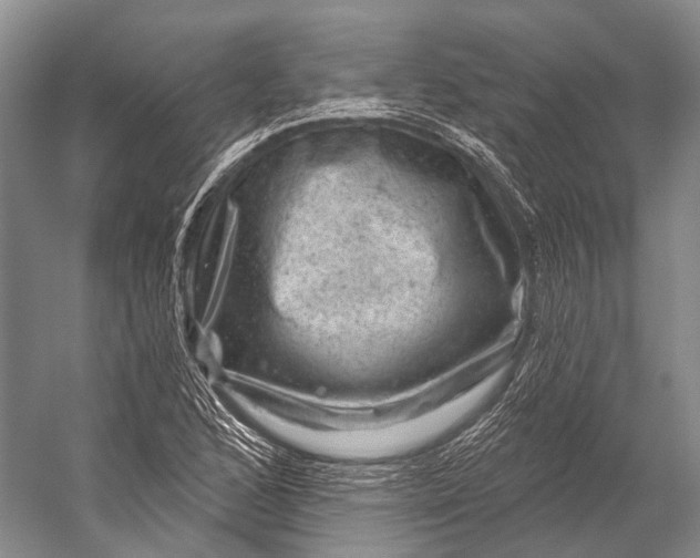 X0000056331168200509161702