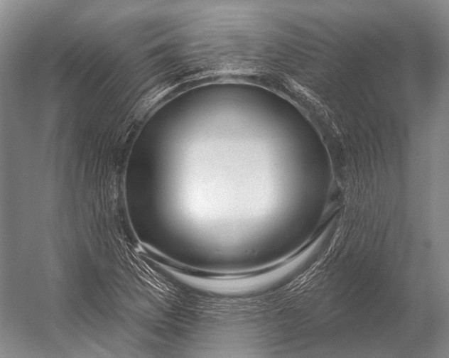 X0000056331169200509161702