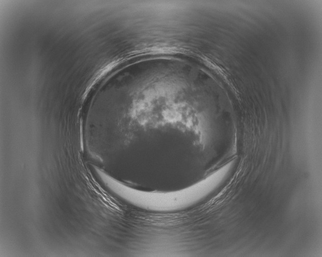 X0000056331171200509161701