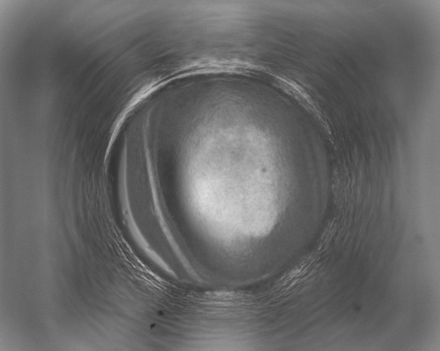 X0000056331172200509161701