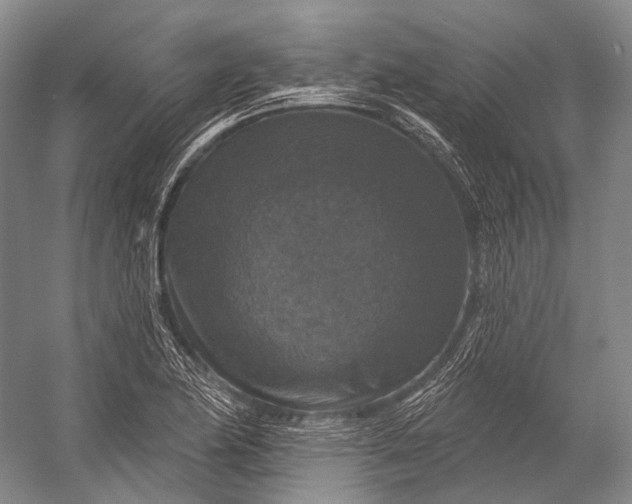 X0000056331174200509161701