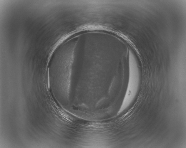 X0000056331175200509161701