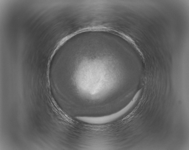 X0000056331176200509161701