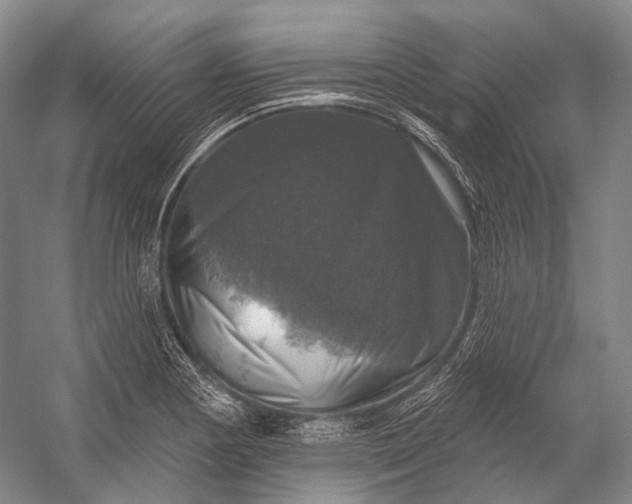 X0000056331178200509161701