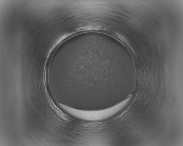 X0000056331179200509161701