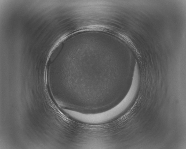 X0000056331180200509161701