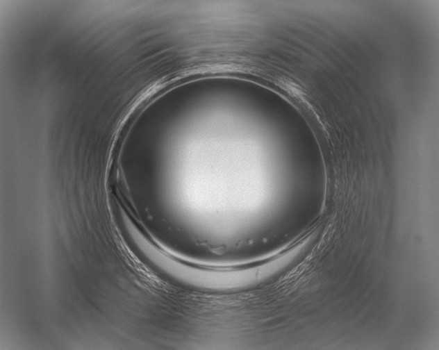 X0000056331181200509161701