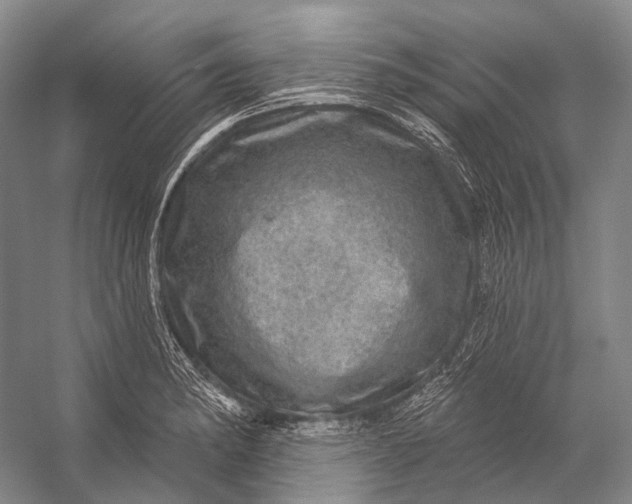 X0000056331182200509161701