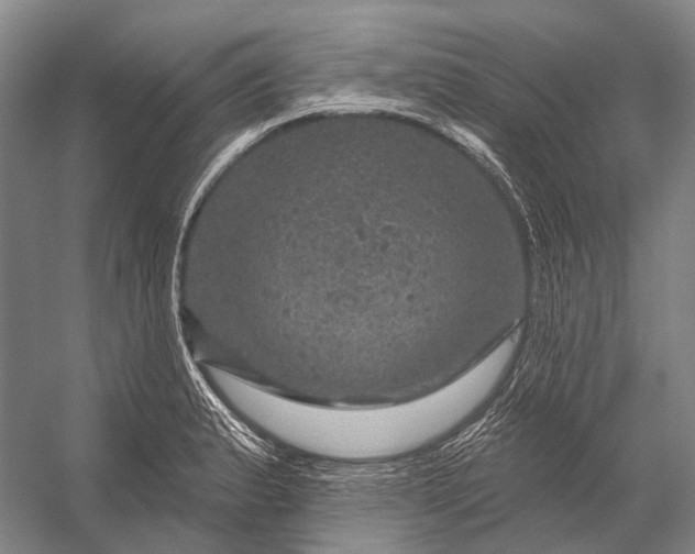 X0000056331183200509161701